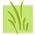 logo naturalia small